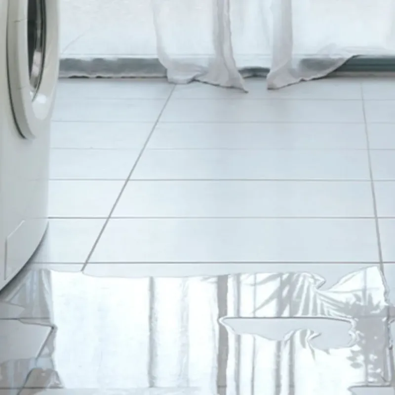Appliance Leak Cleanup in Lake Wisconsin, WI