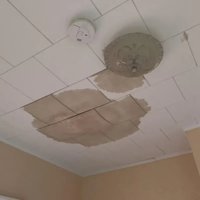 Ceiling Water Damage Repair in Lake Wisconsin, WI