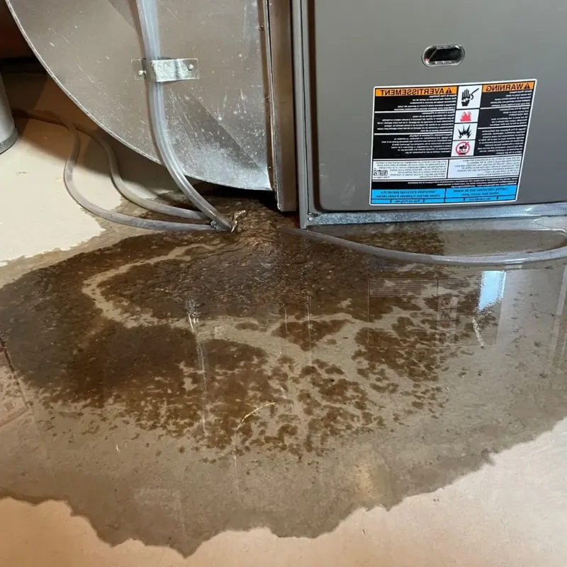 Pipe Burst and Leak Restoration in Lake Wisconsin, WI